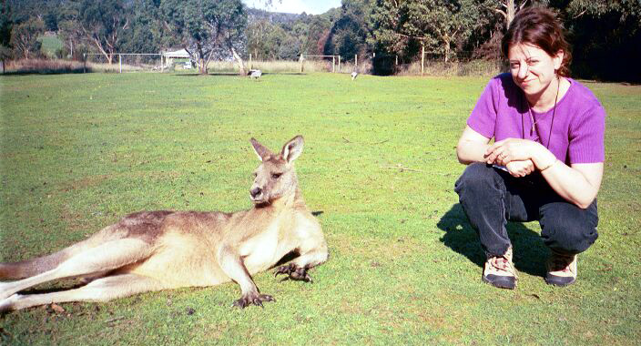 New Zealand tour group