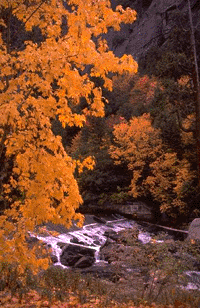 Fall on the Buffalo